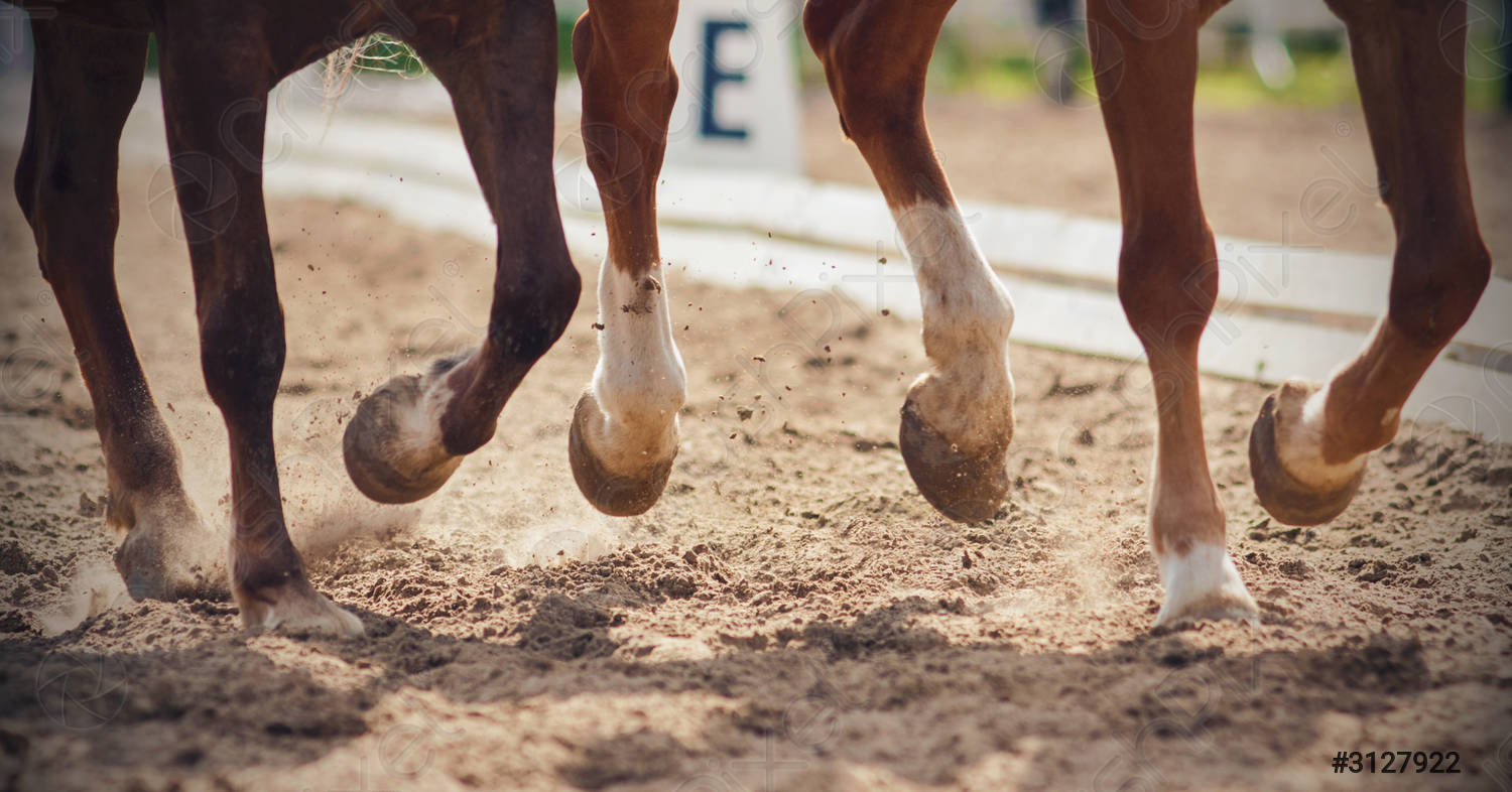 Boots &amp; Leg Wraps