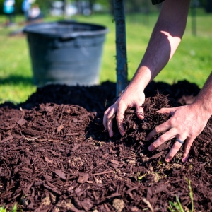 Landscaping Supplies