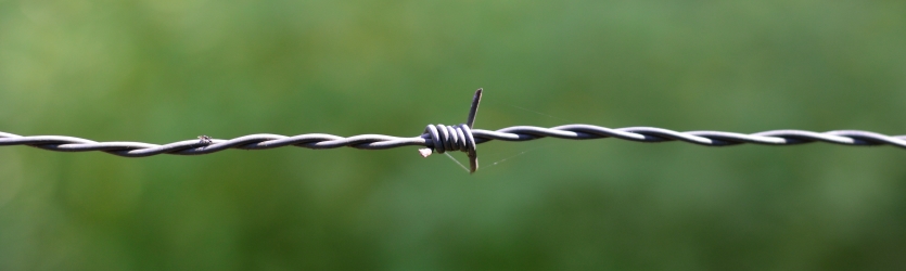 Barbed Wire