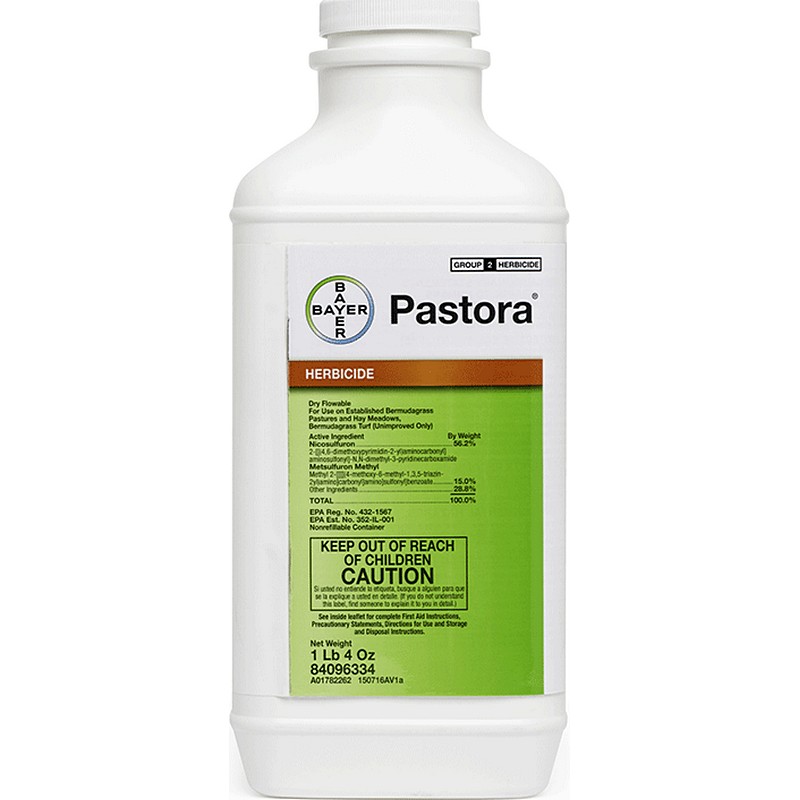 Bayer Pastora 20 oz