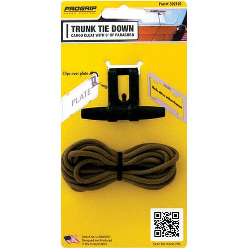 Trunk Tiedown 1 in x 8'