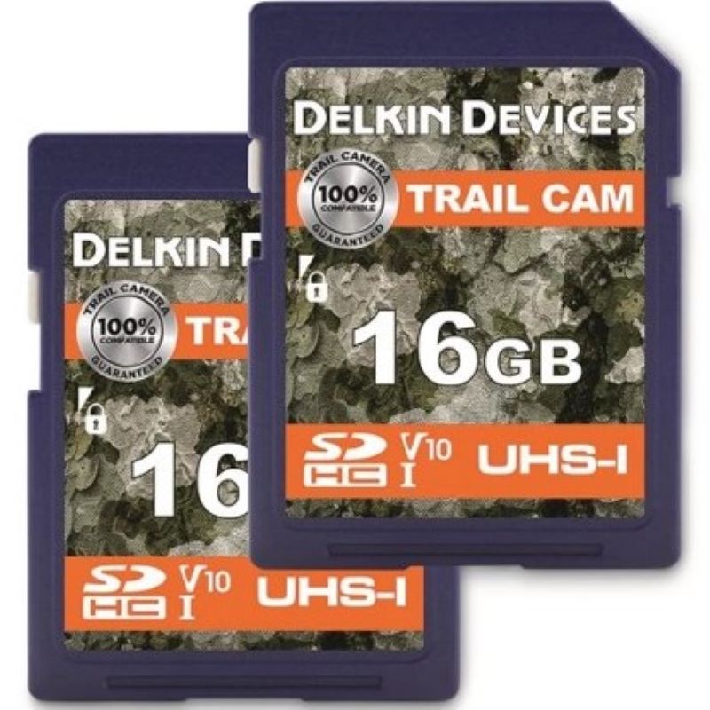 Delvin Devices SD Memory Card 16GB 2Ct