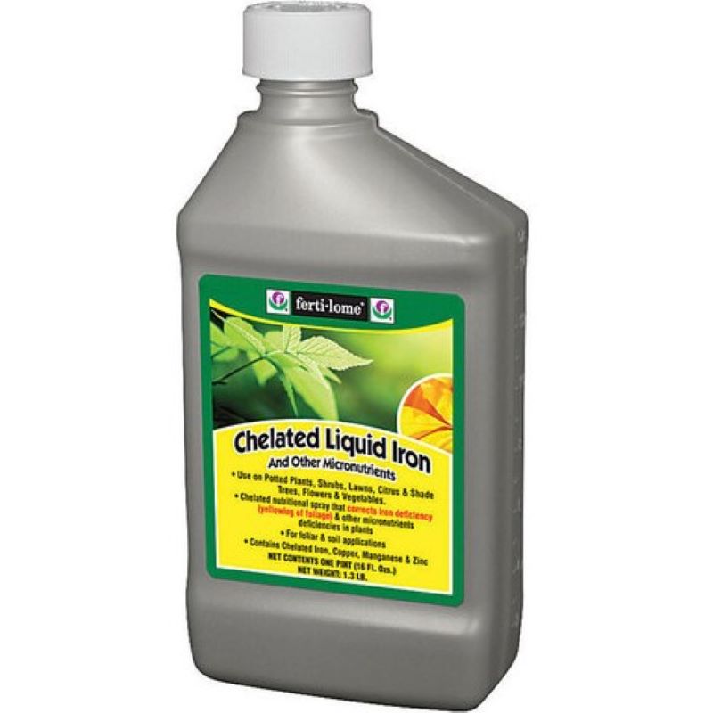 Ferti-Lome Chelated Liquid Iron Plant Food 16 oz