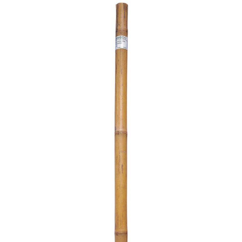 Bond Bamboo Plant Stake 6'