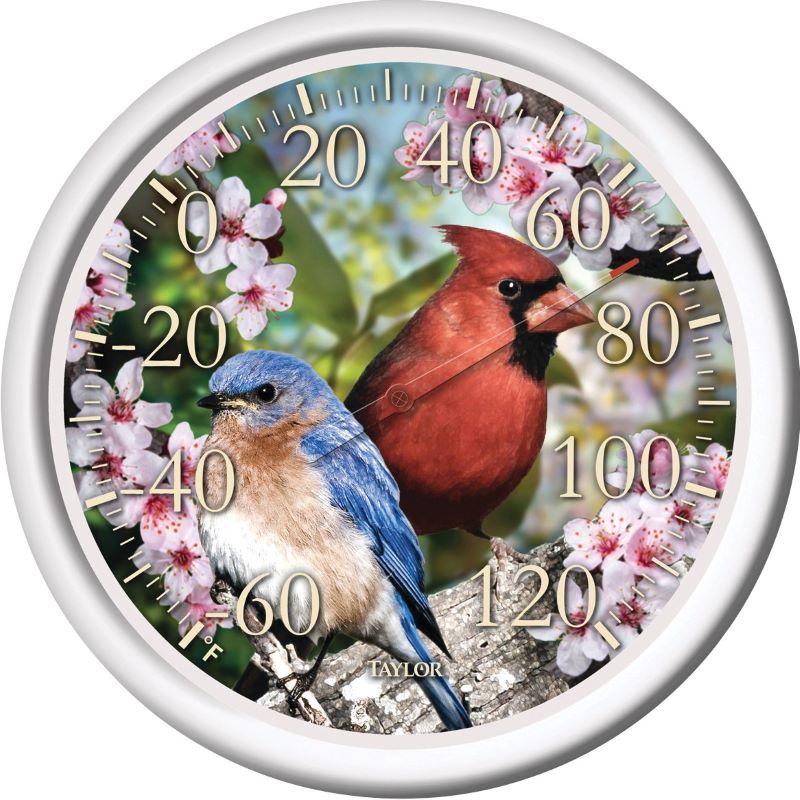 Taylor Cardinal Blue Bird Dial Thermometer Plastic 13.5"