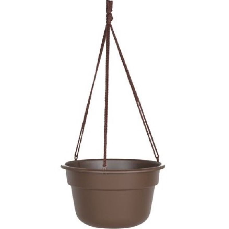 Bloem Dura Cotta Hanging Basket Chocolate 12"