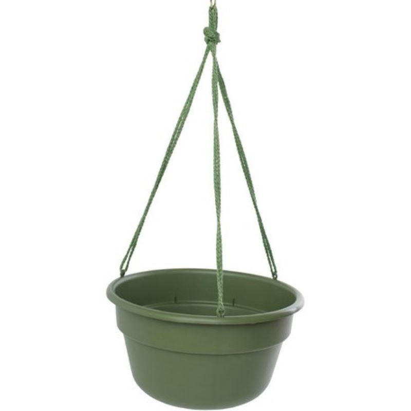Bloem Dura Cotta Hanging Basket Living Green 12"