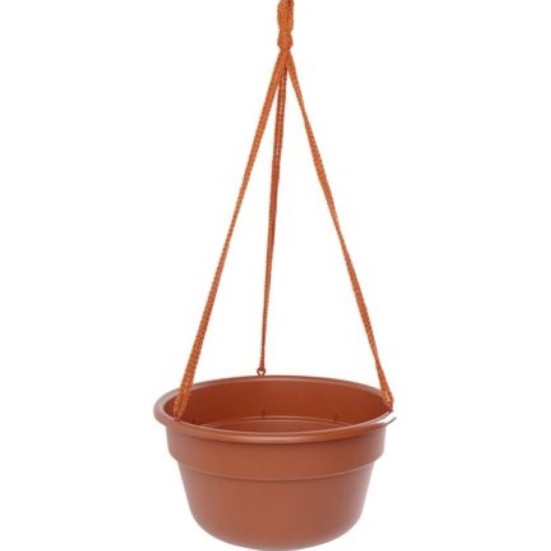 Bloem Dura Cotta Hanging Basket Terracotta 12"