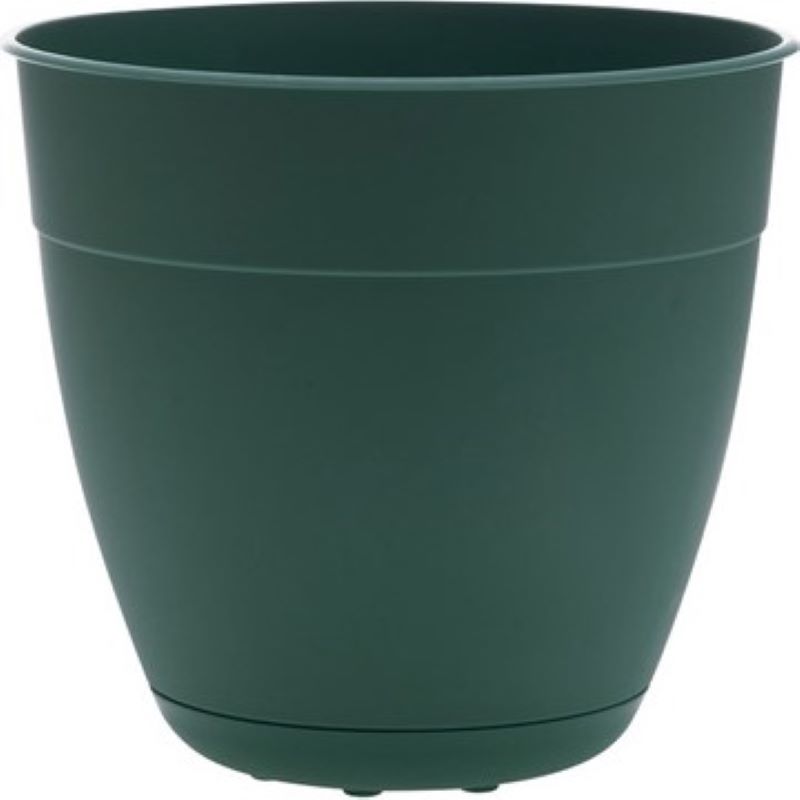 Bloem Dayton Plastic Planter Turtle Green 6 in