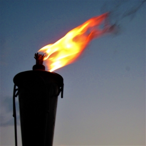 Citronella Fuel &amp; Torches