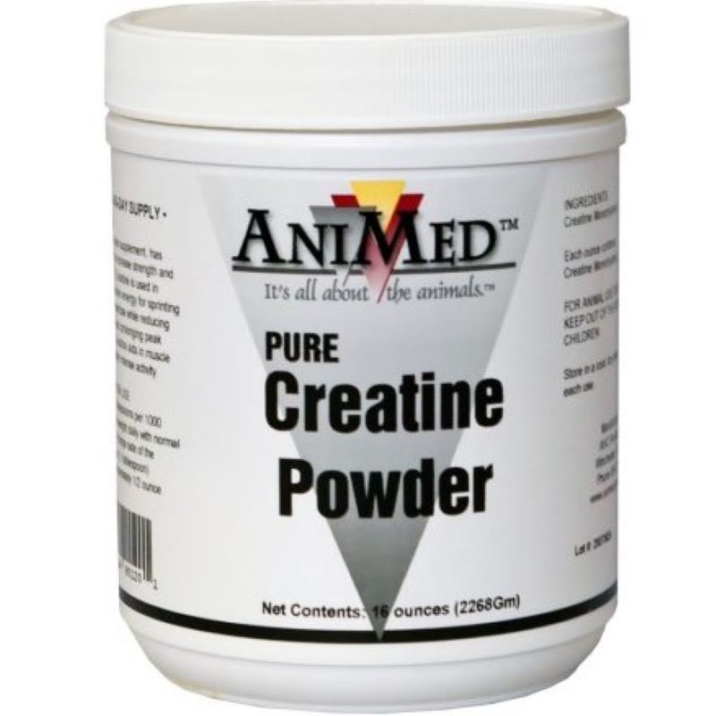 AniMed Creatine Powder 16 oz