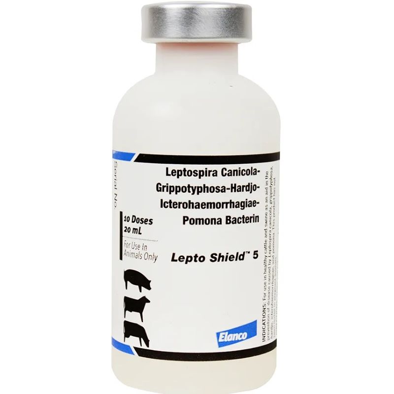 Lepto Shield 5 10 Dose 20 ml