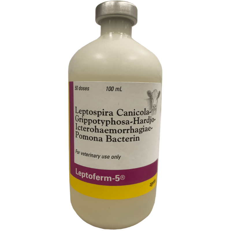 LeptoFerm 5 50 Dose 100 ml
