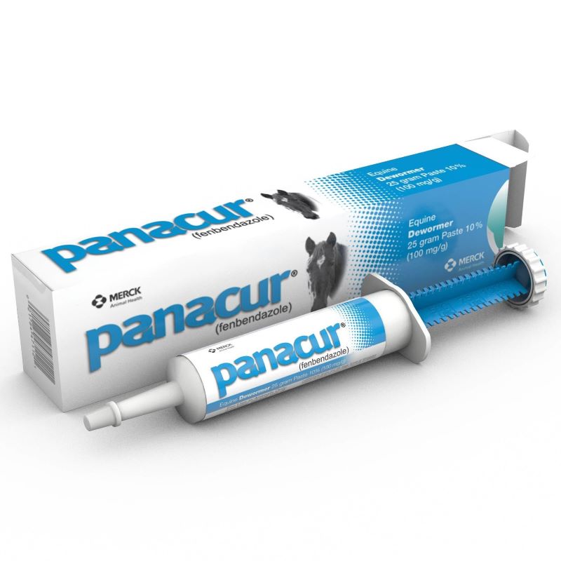 Panacur Horse Wormer 25 gm