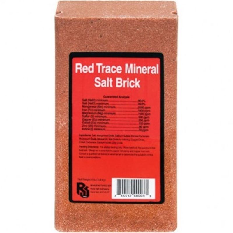 Red Trace Mineral Salt Brick 4 lb
