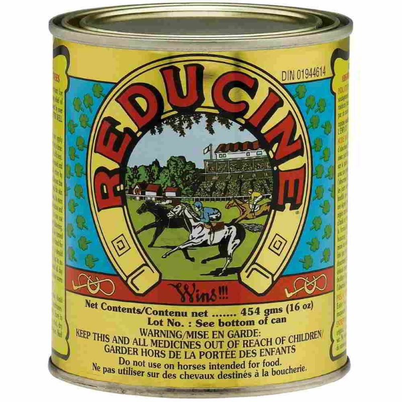 Reducine Horse Absorbent 16 oz