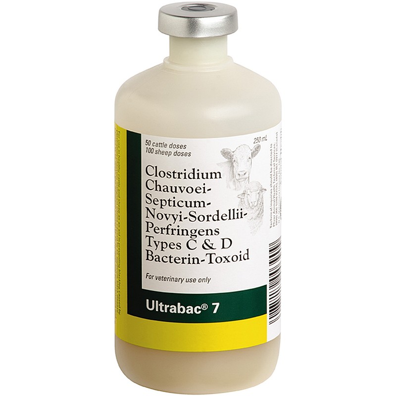 Ultrabac 7/Somubac 50 Dose 250 ml