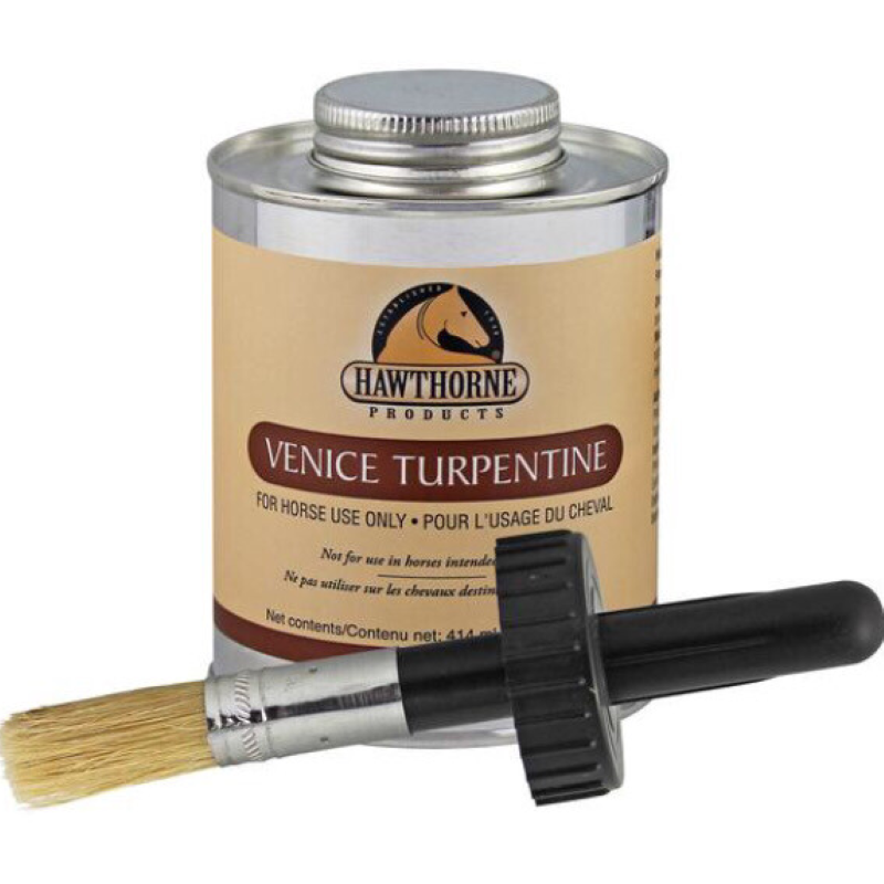 Venice Turpentine 16 oz