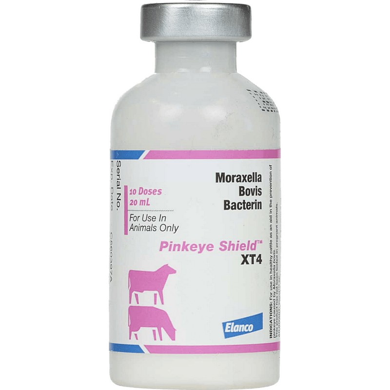 XT4 Pinkeye 10 Dose 20 ml