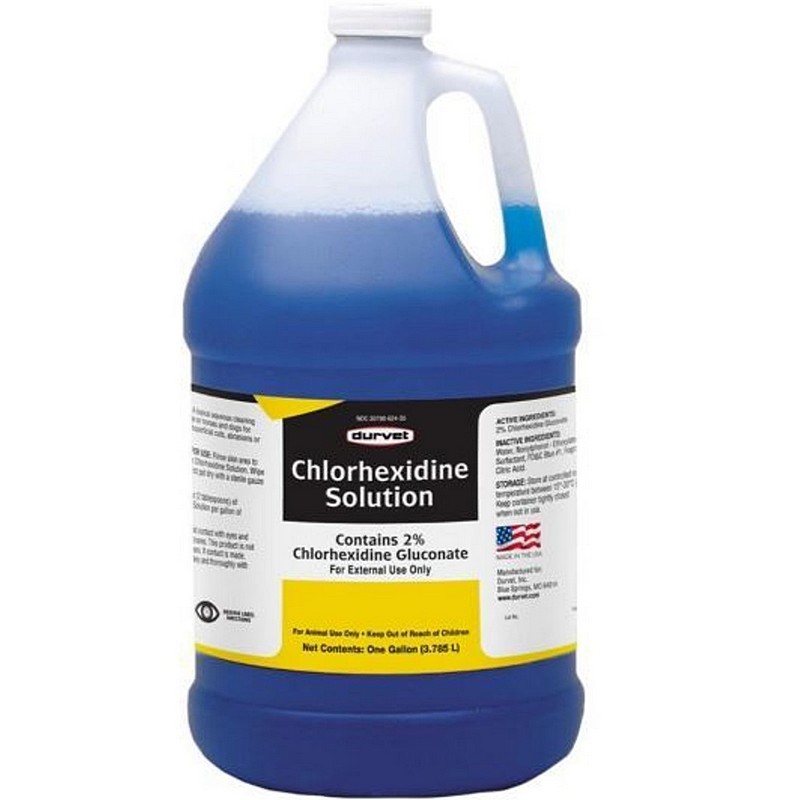 Chlorhexidine Disinfectant 1 gal