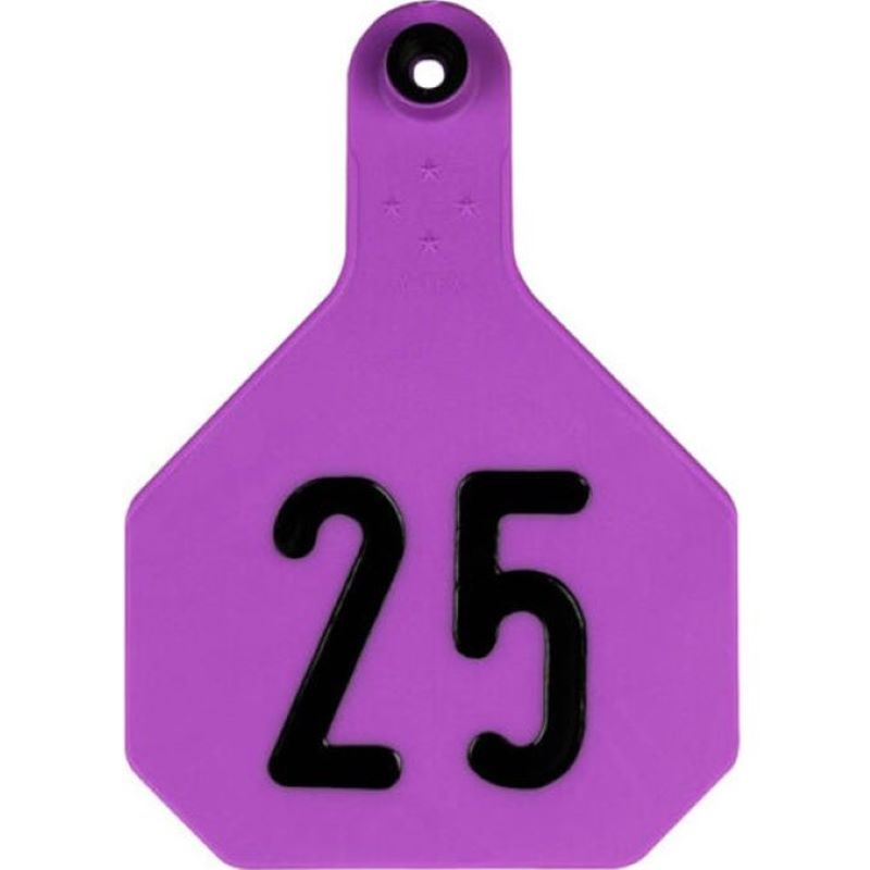 Y-Tex 3 Star Purple 1-25