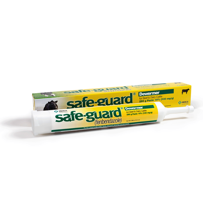 Safe-Guard Paste 10% 290g