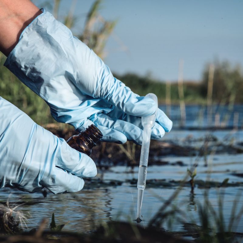 Pond Chemicals