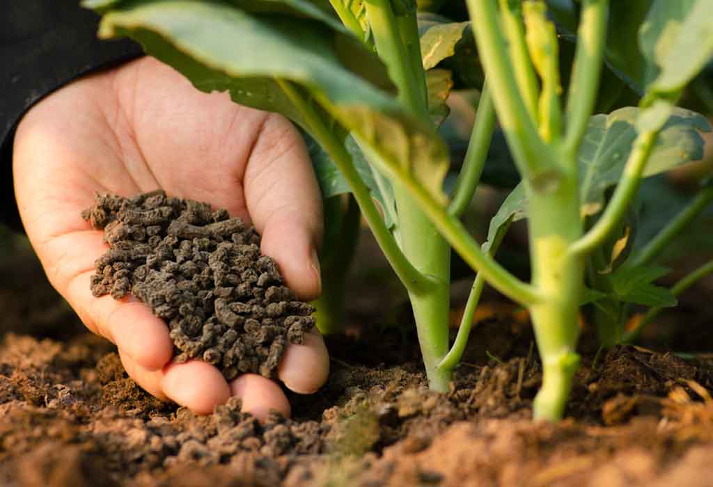 Fertilizers &amp; Soil Conditioners