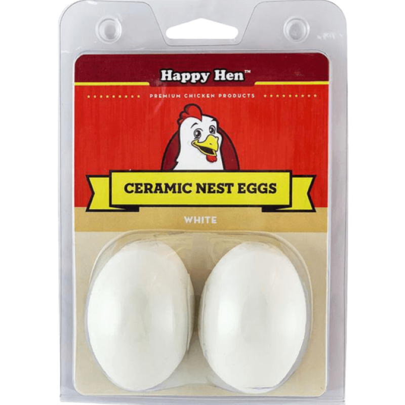 Ceramic Nest Eggs White 2 Ct
