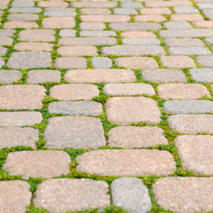 Stepping Stones &amp; Pavers
