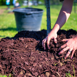 Mulch