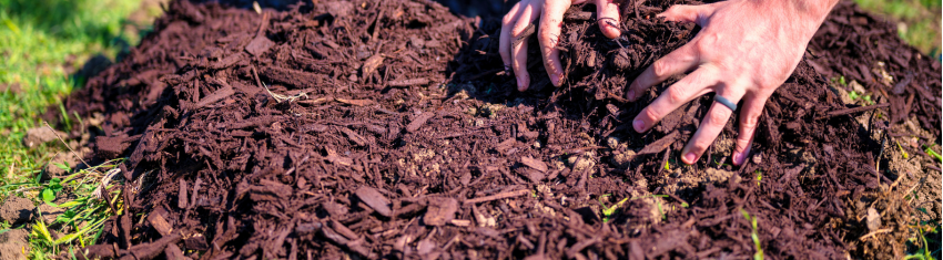 Mulch