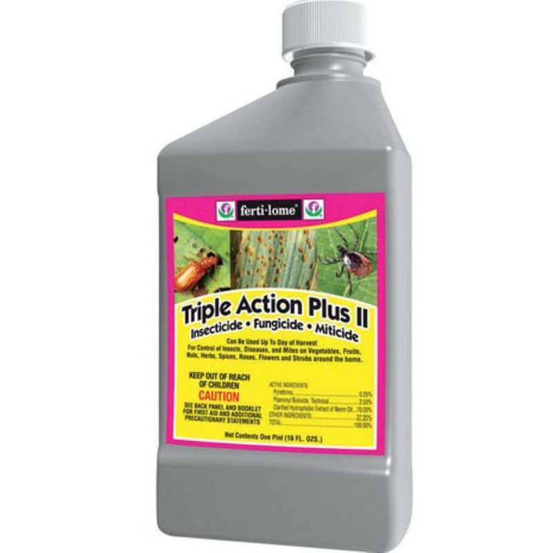 Ferti-Lome Triple Action Plus II Insect, Fungus & Mite Control 16 oz