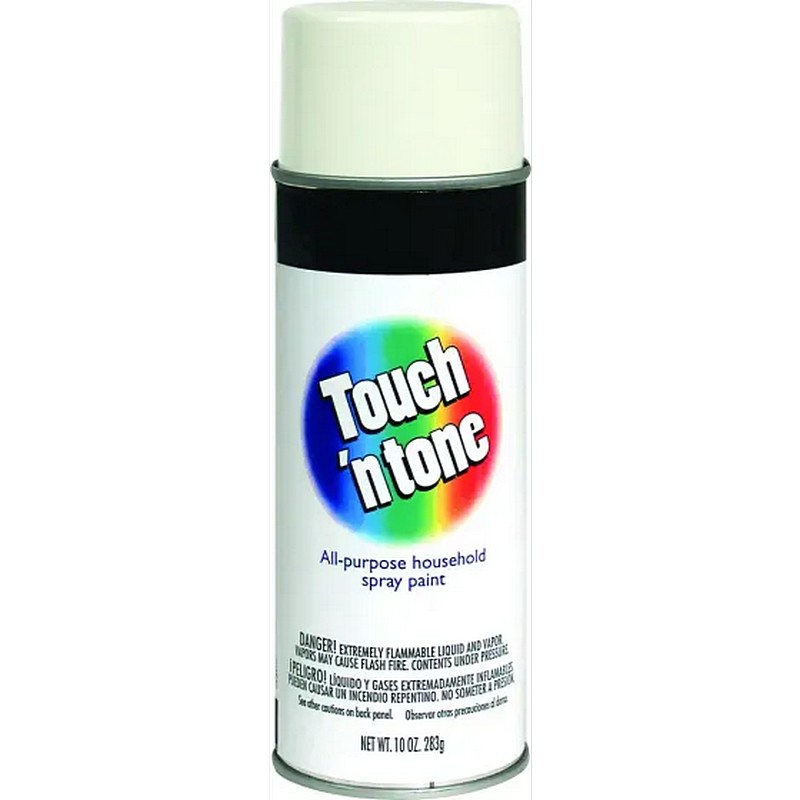 Touch N Tone Spray Paint Gloss White 10 oz