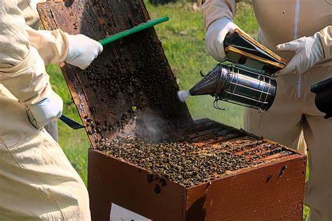 Beekeeping Supplies