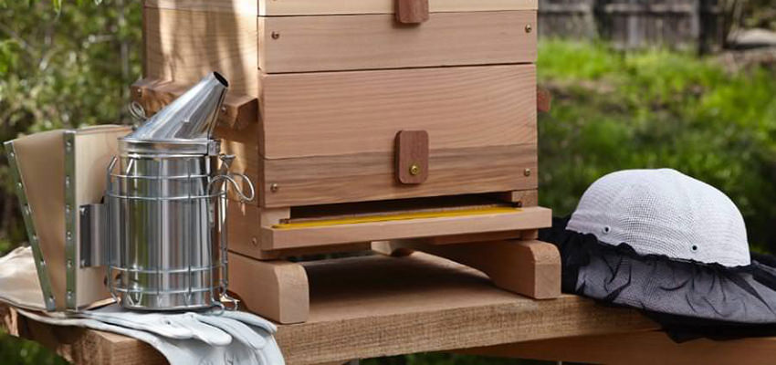 Beehive Equipment
