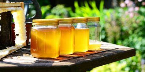 Honey Harvesting Equipment