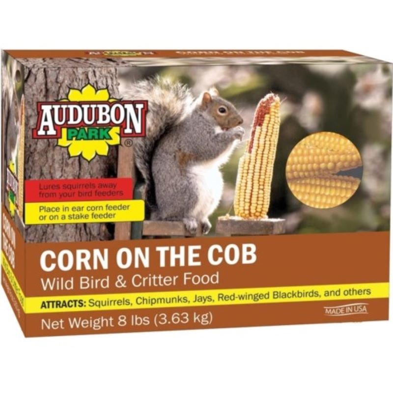 Corn On The Cob Squirrel Food