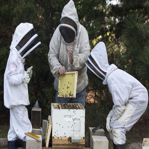 Beekeeping Books &amp; Classes