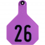 Y-Tex 4 Star Purple 26-50