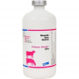 Pinkeye Shield XT4 50 Dose 100 ml