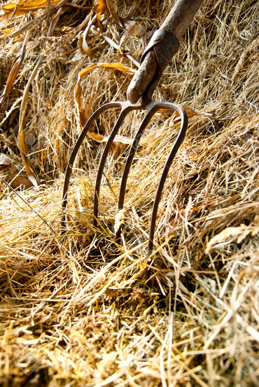 Manure / Ensilage / Hay Forks