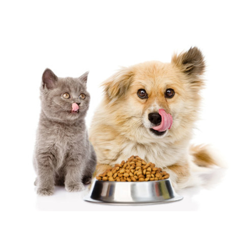Pet Food