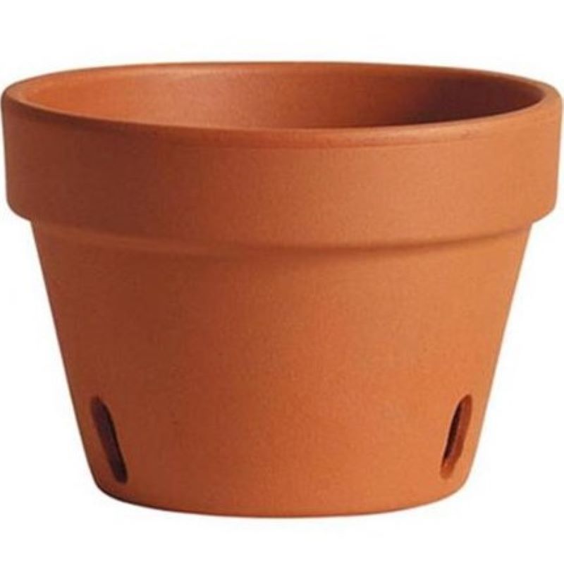 Dermoa Clay Terracotta Orchid Pot 8 in