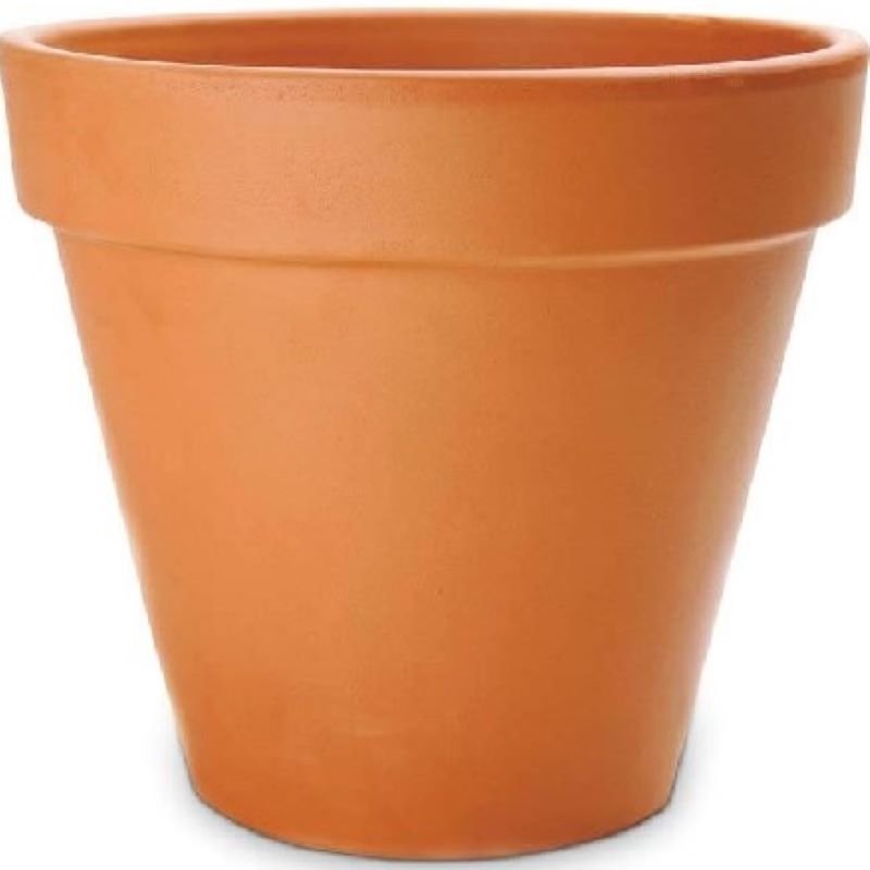 Terracotta Clay Pot 10 in