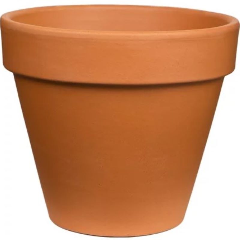 Terracotta Clay Pot 12 in