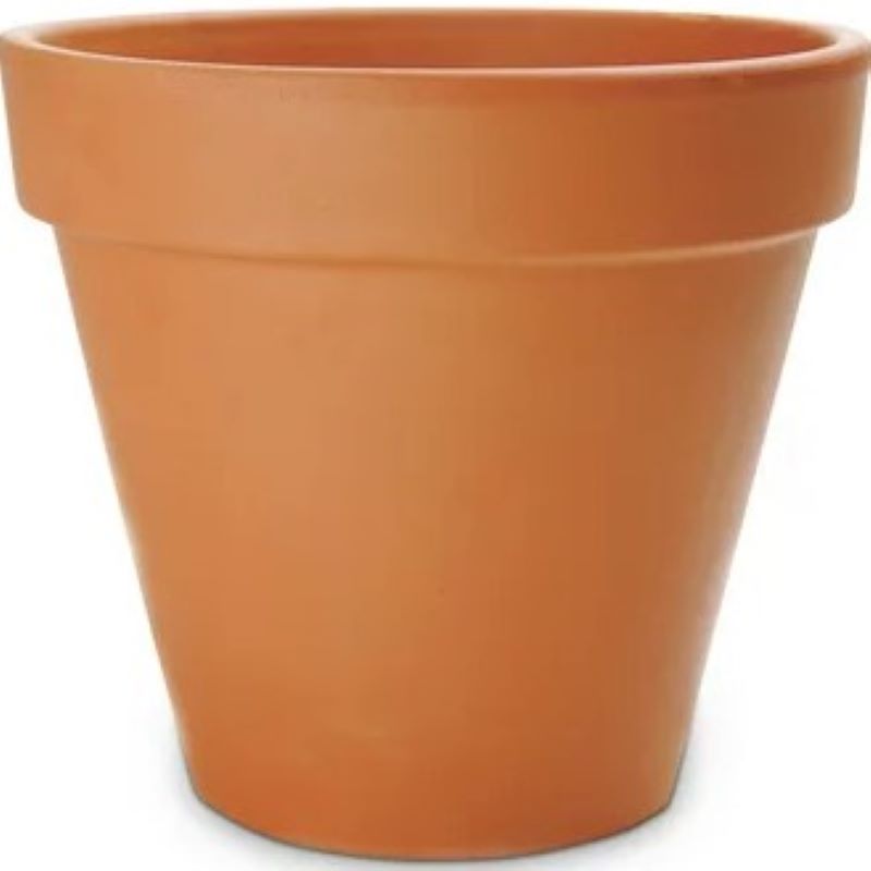 Deroma Clay Terracotta Pot 8 in