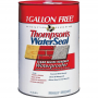 Thompsons Water Seal Clear Multi-Surface Waterproofer 6 gal