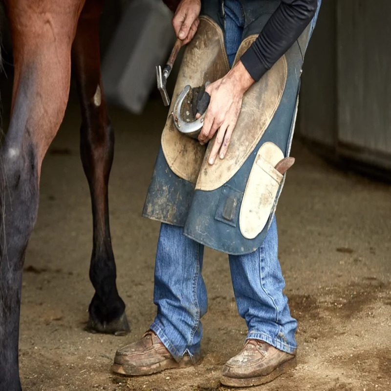 Farrier Supplies