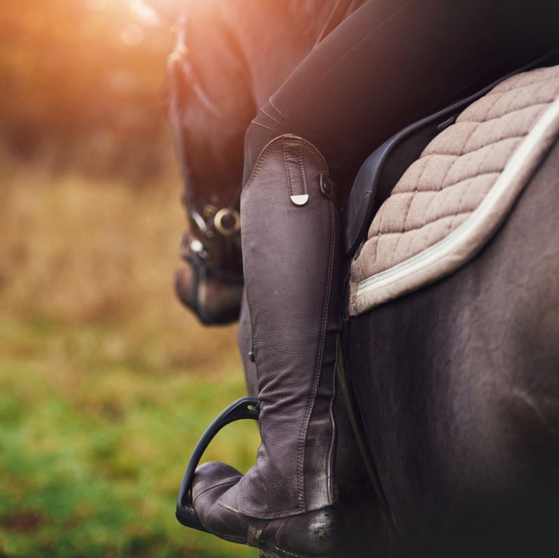 Horse Rider Gear